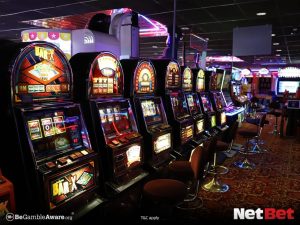 lllmk - Login Bet Cassino